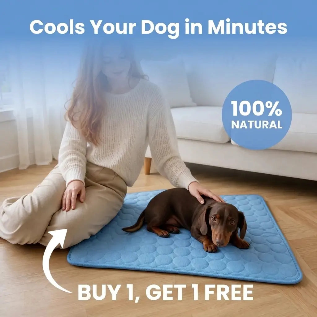CoolPaw™