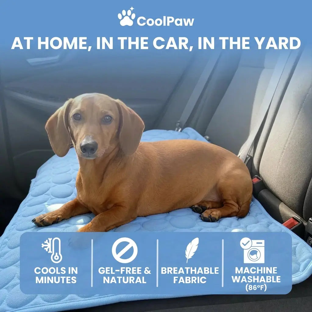 CoolPaw™