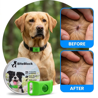 BiteBlock™ | 12-Month Protection Against Fleas, Ticks & Parasites