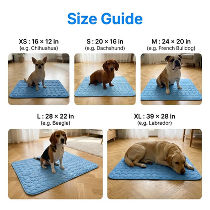 CoolPaw™